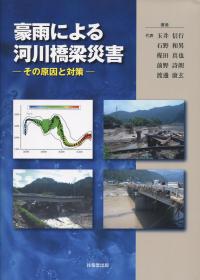 東日本大震災合同調査報告 土木編2 土木構造物の津波被害と復旧の購入