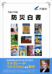 防災白書 平成２９年版/日経印刷/内閣府（大型本） Amazon.co.jp: 防災白書 (平成30年版) : 内閣府: 本